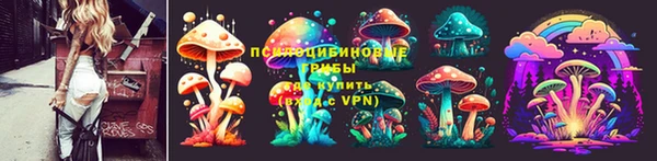 крисы Баксан