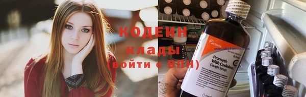 крисы Баксан