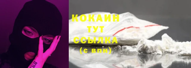 крисы Баксан