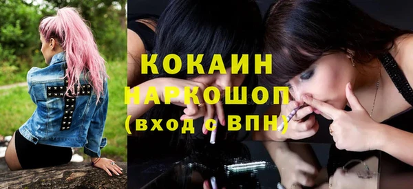 крисы Баксан