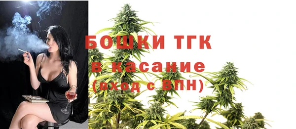крисы Баксан