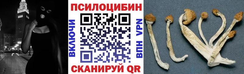 Псилоцибиновые грибы Magic Shrooms  Белогорск 
